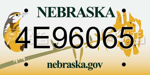 4E96065 Nebraska License Plate
