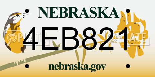 4EB821 Nebraska License Plate