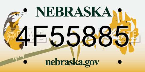 4F55885 Nebraska License Plate