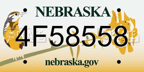4F58558 Nebraska License Plate