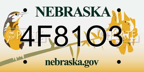 4F81O3 Nebraska License Plate