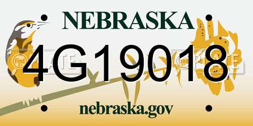 4G19018 Nebraska License Plate