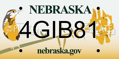 4GIB81 Nebraska License Plate