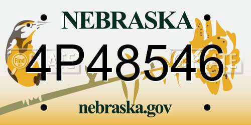 4P48546 Nebraska License Plate