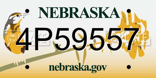 4P59557 Nebraska License Plate