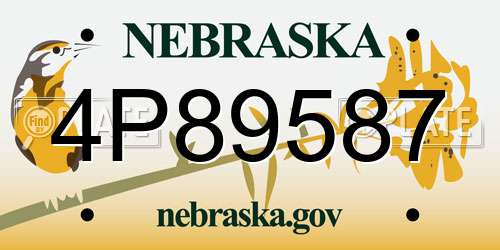 4P89587 Nebraska License Plate
