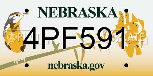 4PF591 Nebraska License Plate