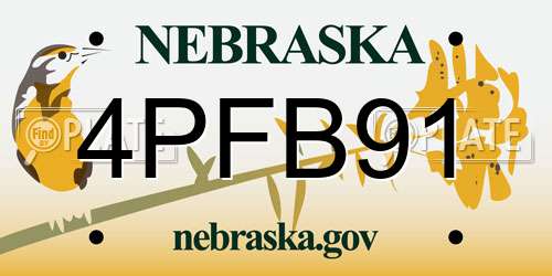 4PFB91 Nebraska License Plate