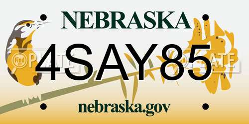 4SAY85 Nebraska License Plate