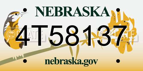 4T58137 Nebraska License Plate