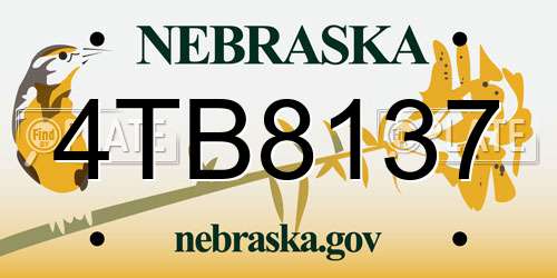 4TB8137 Nebraska License Plate