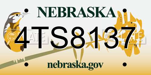 4TS8137 Nebraska License Plate