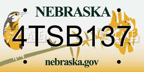 4TSB137 Nebraska License Plate