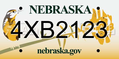 4XB2123 Nebraska License Plate