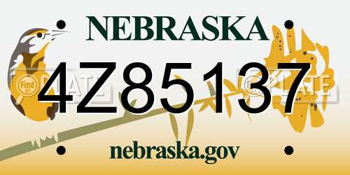 4Z85137 Nebraska License Plate