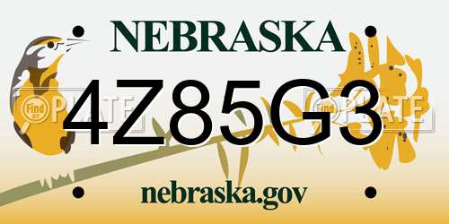 4Z85G3 Nebraska License Plate