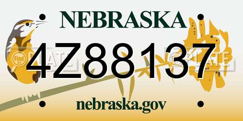 4Z88137 Nebraska License Plate