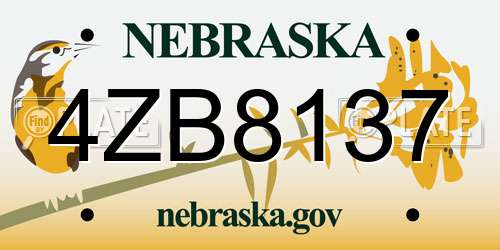 4ZB8137 Nebraska License Plate