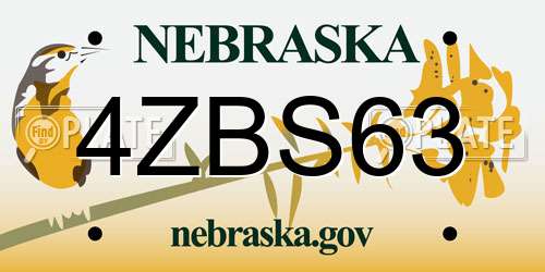 4ZBS63 Nebraska License Plate
