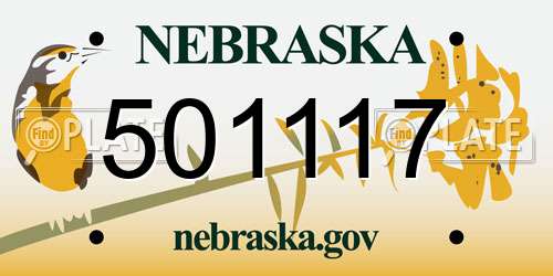 501117 Nebraska License Plate