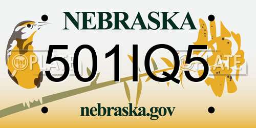 501IQ5 Nebraska License Plate