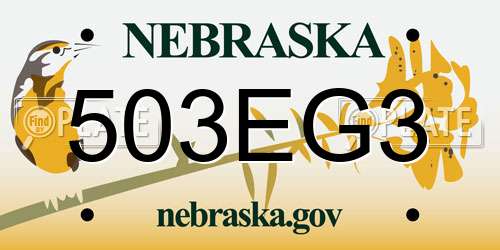 503EG3 Nebraska License Plate