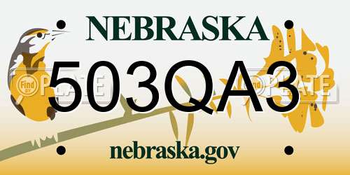 503QA3 Nebraska License Plate