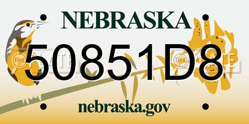 50851D8 Nebraska License Plate