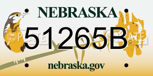 51265B Nebraska License Plate