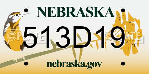 513D19 Nebraska License Plate