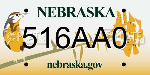 516AA0 Nebraska License Plate