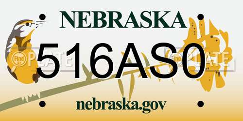 516AS0 Nebraska License Plate