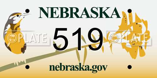 519 Nebraska License Plate