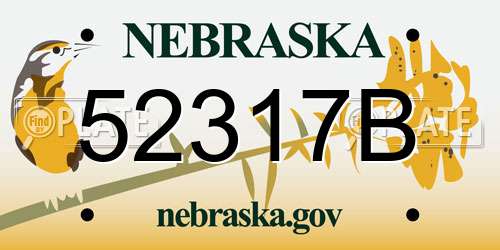 52317B Nebraska License Plate