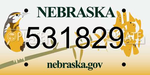 531829 Nebraska License Plate