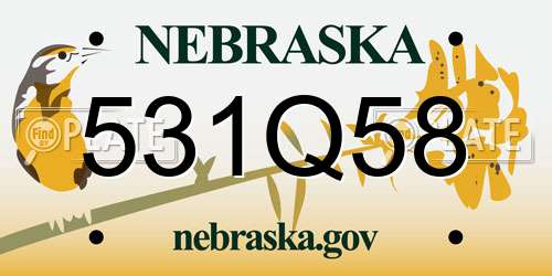 531Q58 Nebraska License Plate
