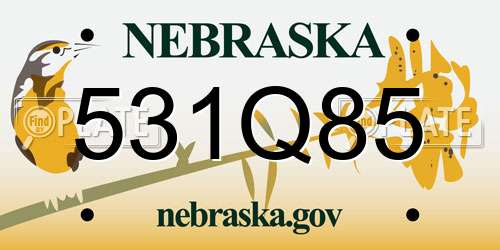 531Q85 Nebraska License Plate