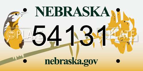 54131 Nebraska License Plate