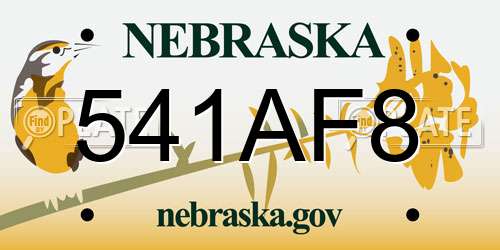 541AF8 Nebraska License Plate