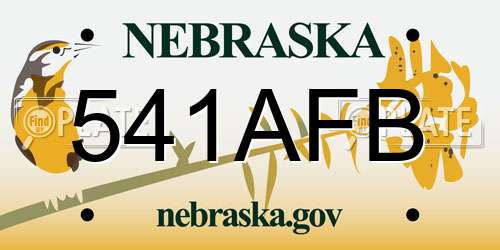 541AFB Nebraska License Plate