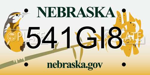 541GI8 Nebraska License Plate