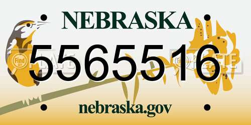 5565516 Nebraska License Plate