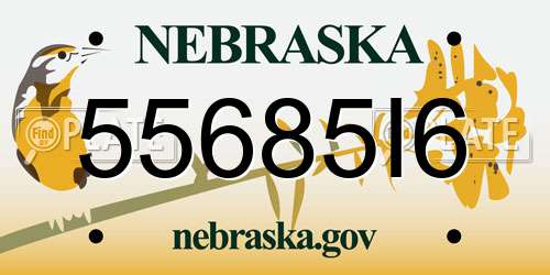 55685I6 Nebraska License Plate