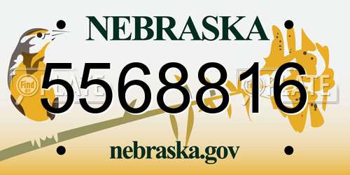 5568816 Nebraska License Plate