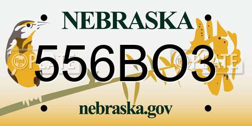 556BO3 Nebraska License Plate