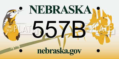 557B Nebraska License Plate