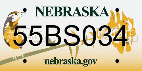 55BS034 Nebraska License Plate