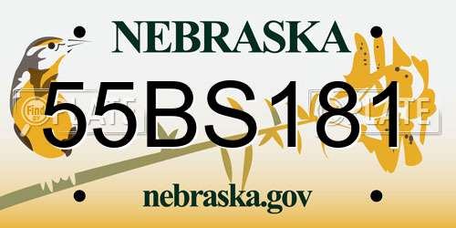 55BS181 Nebraska License Plate