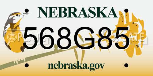 568G85 Nebraska License Plate