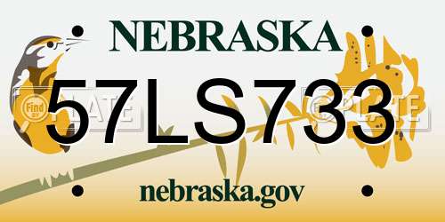 57LS733 Nebraska License Plate